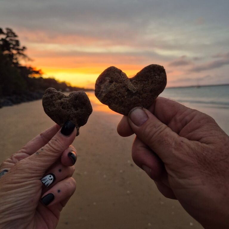 Recovery Warriors - 2 hearts working together