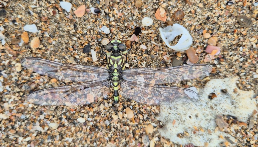 Healing Power of Breathwork